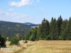 IMG_2087.jpg