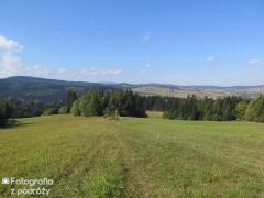 IMG_2096.jpg