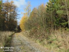 IMG_2172.jpg