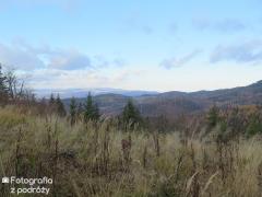 IMG_2183.jpg