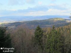 IMG_2190.jpg