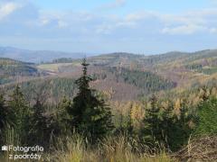 IMG_2205.jpg