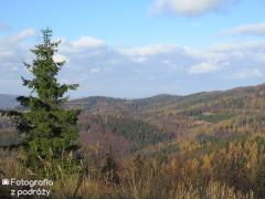 IMG_2210.jpg